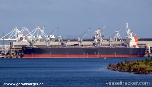 vessel Strelitzia IMO: 9363120, Wood Chips Carrier
