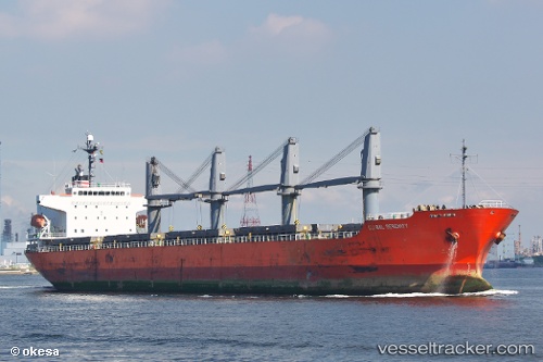 vessel Global Serenity IMO: 9363302, General Cargo Ship
