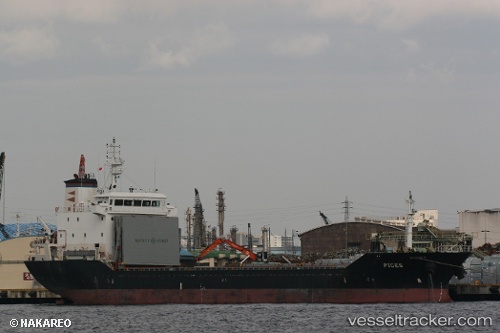 vessel Pices IMO: 9365439, General Cargo Ship
