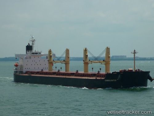 vessel Consolidator IMO: 9368869, Bulk Carrier
