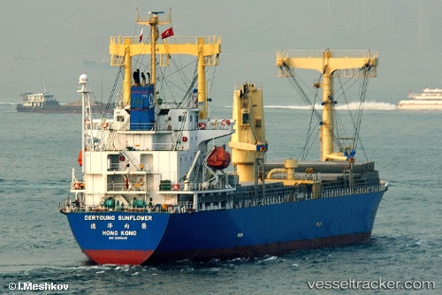 vessel Deryoung Sunflower IMO: 9369148, General Cargo Ship
