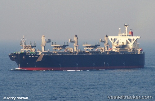 vessel Hk Delight IMO: 9370238, Wood Chips Carrier
