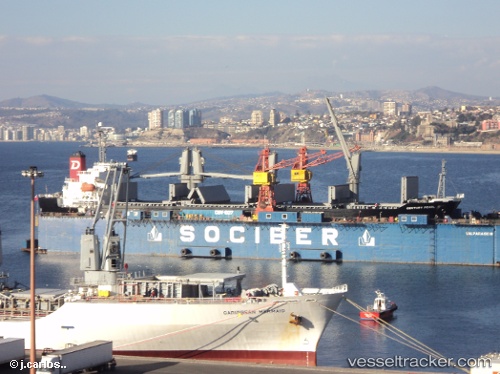 vessel White Ivy IMO: 9370393, Bulk Carrier

