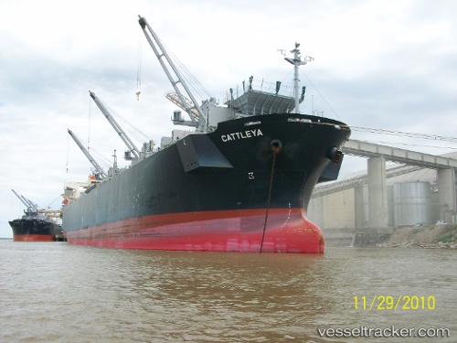 vessel Cattleya IMO: 9370757, Wood Chips Carrier
