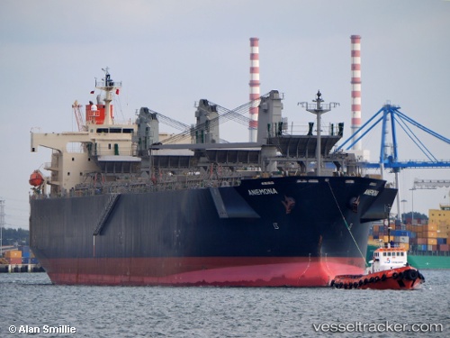 vessel Anemona IMO: 9370812, Wood Chips Carrier
