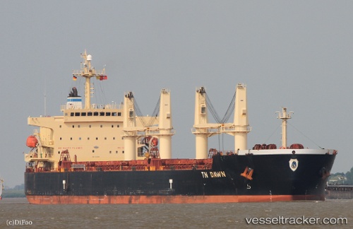 vessel Tn Dawn IMO: 9373993, Bulk Carrier
