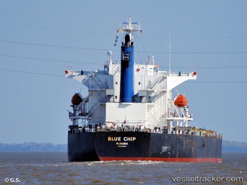 vessel Blue Chip IMO: 9374222, Bulk Carrier
