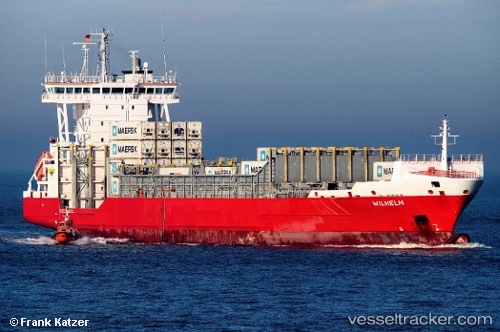 vessel Wilhelm IMO: 9376050, Container Ship
