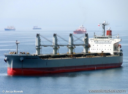 vessel Gemini IMO: 9376309, Bulk Carrier
