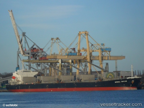 vessel FORTUNE ARK IMO: 9377676, Bulk Carrier