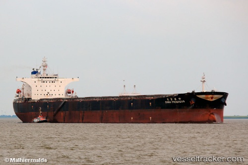 vessel China Progress IMO: 9378319, Bulk Carrier
