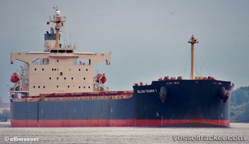 vessel The Guardian IMO: 9378395, Bulk Carrier
