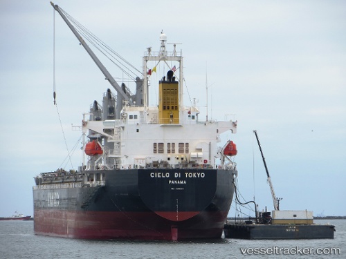 vessel Zimrida IMO: 9380817, Bulk Carrier
