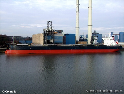 vessel Pedhoulas Commander IMO: 9381524, Bulk Carrier
