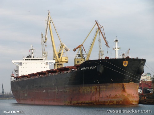 vessel Miho Pracat IMO: 9384514, Bulk Carrier
