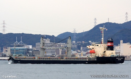 vessel TRAWIND VISION IMO: 9385207, Bulk Carrier