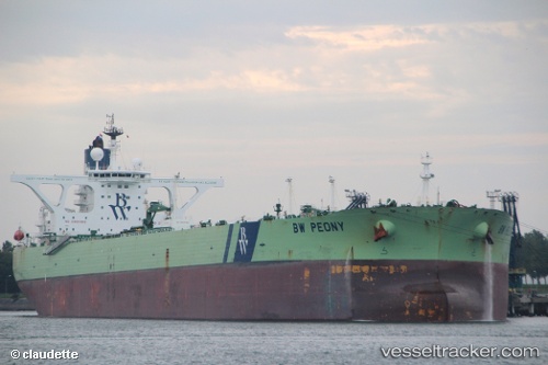 vessel DHT PEONY IMO: 9385843, 