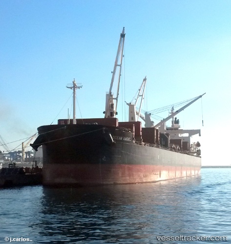 vessel Free State IMO: 9386392, Bulk Carrier
