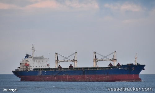 vessel '636020713' IMO: 9387334, 