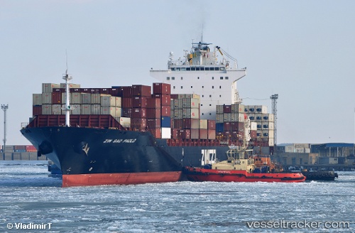 vessel Zim Sao Paolo IMO: 9389681, Container Ship
