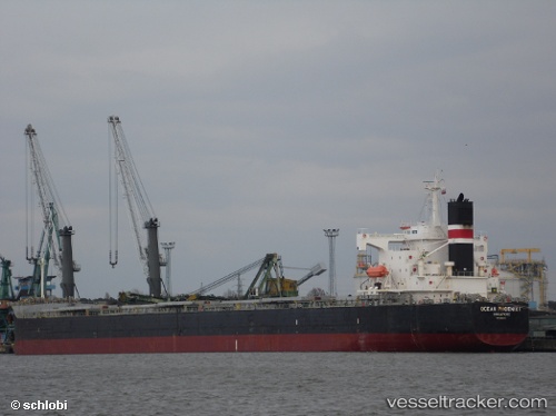 vessel Oceanic IMO: 9392444, Bulk Carrier

