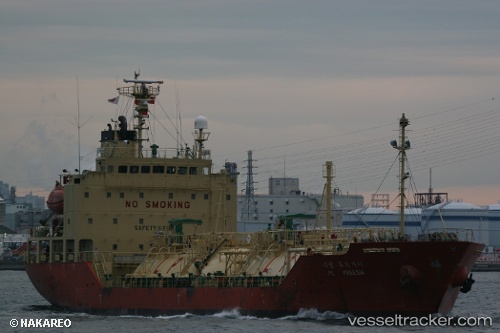 vessel Dl Freesia IMO: 9392860, Lpg Tanker

