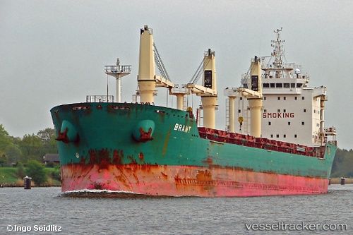 vessel Brant IMO: 9393151, Bulk Carrier
