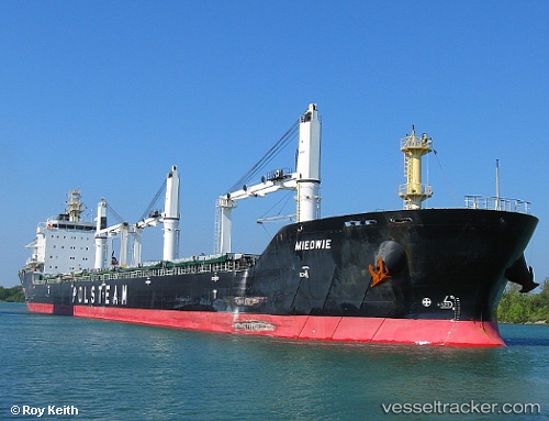 vessel Miedwie IMO: 9393448, Bulk Carrier

