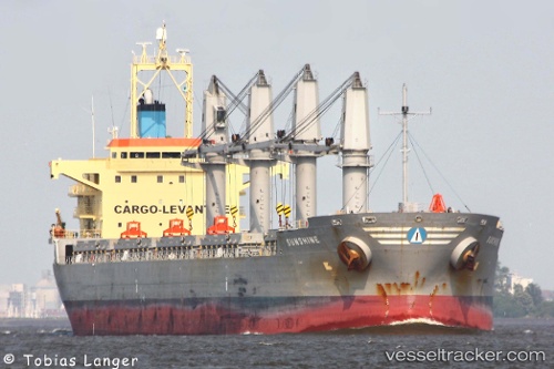 vessel Sunshine IMO: 9393632, Bulk Carrier
