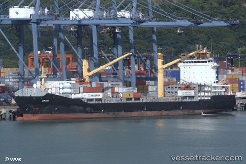 vessel Varamo IMO: 9395044, Container Ship
