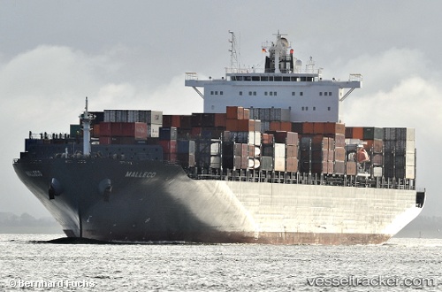 vessel Malleco IMO: 9395525, Container Ship

