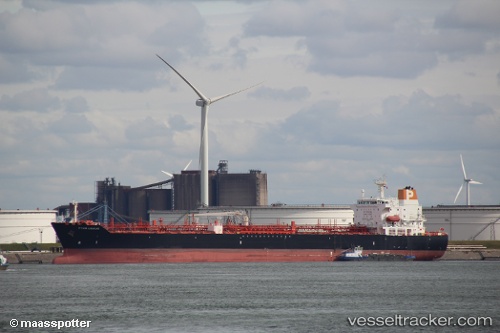 vessel ELEGANT GRACE IMO: 9396775, Oil/Chemical Tanker