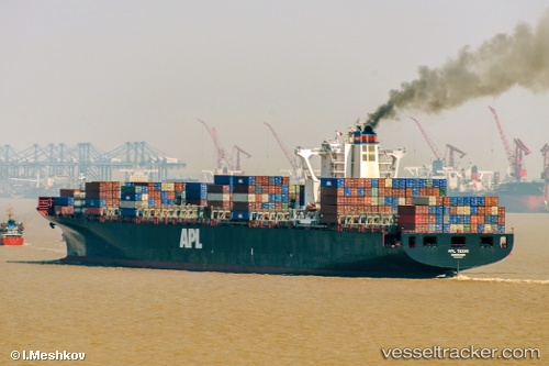 vessel MSC NOA IMO: 9398228, Container Ship
