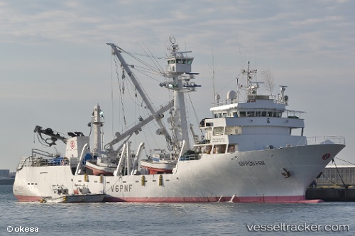 vessel Taiyo Palikir IMO: 9400265, Fishing Vessel
