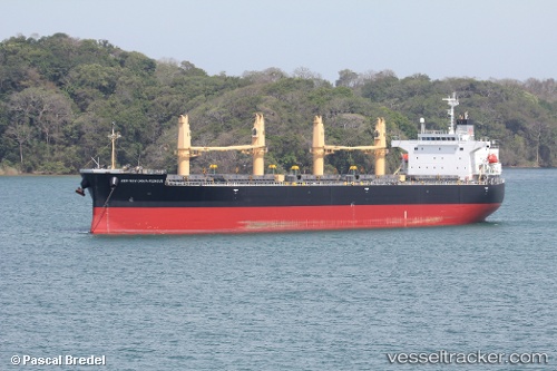 vessel Zennoh Grain Pegasus IMO: 9402017, Bulk Carrier
