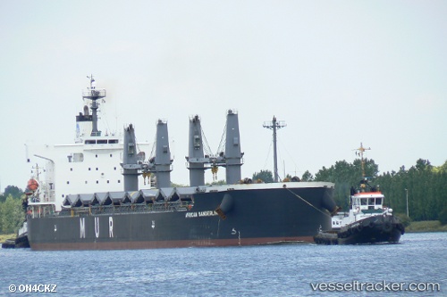 vessel African Sanderling IMO: 9403059, Bulk Carrier
