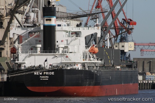 vessel VIRONO PRIDE IMO: 9403138, Bulk Carrier