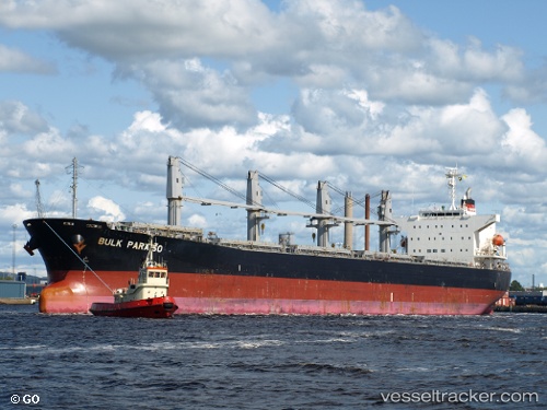 vessel A WISDOM IMO: 9405497, Bulk Carrier