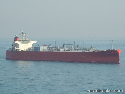 vessel '419001640' IMO: 9405875, 