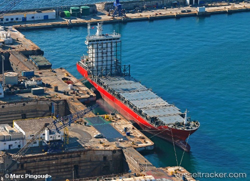 vessel Atlantic South IMO: 9414137, Container Ship
