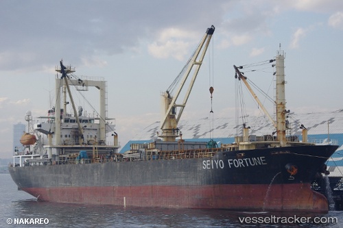 vessel SEIYO FORTUNE IMO: 9417048, General Cargo Ship