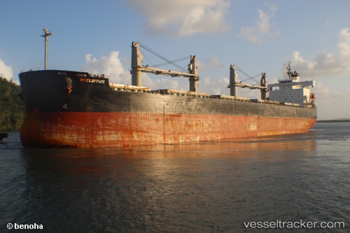 vessel Rego IMO: 9423554, Bulk Carrier
