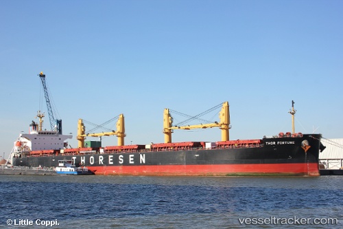 vessel Thor Fortune IMO: 9424613, Bulk Carrier
