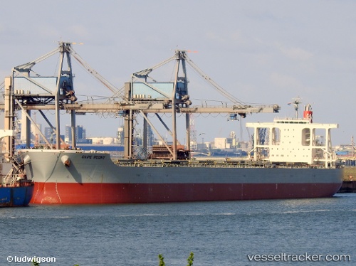 vessel Cape Peony IMO: 9425447, Bulk Carrier

