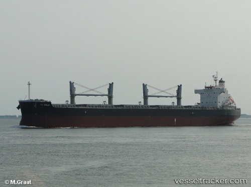 vessel Trade IMO: 9425942, Bulk Carrier
