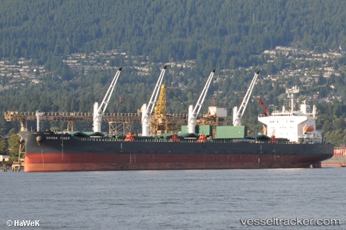 vessel Densa Tiger IMO: 9432476, Bulk Carrier

