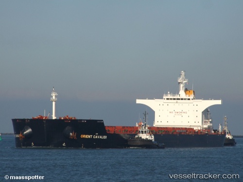 vessel Orient Cavalier IMO: 9436460, Bulk Carrier
