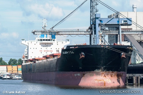 vessel Golden Bull IMO: 9438626, Bulk Carrier
