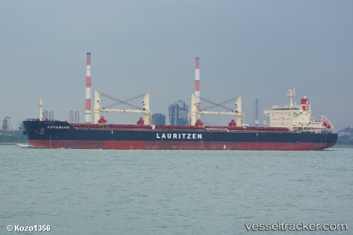 vessel Puffin Bulker IMO: 9441403, Bulk Carrier
