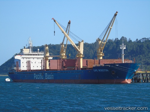 vessel LOYALTY HONG IMO: 9443396, Bulk Carrier